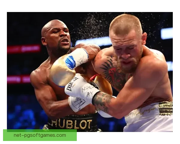 拳击世界纪录：最惊人的纪录和最具挑战的突破