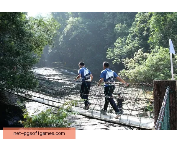 穿越自然野径：挑战极限跑者的越野探险之旅
