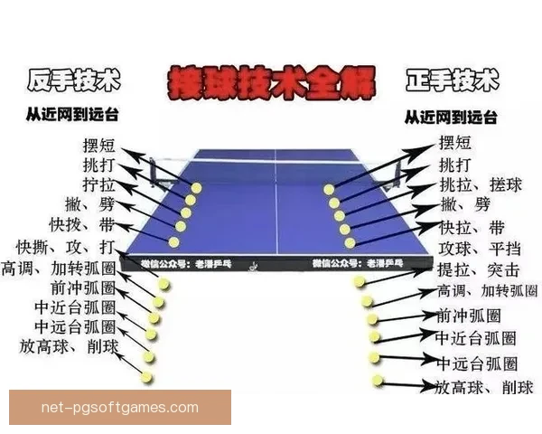 乒乓球对战策略与技术分析详解