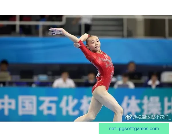 体操世界纪录大揭秘：超越极限的壮举