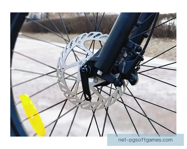 山地车历史演变与技术革新  享受山地骑行乐趣