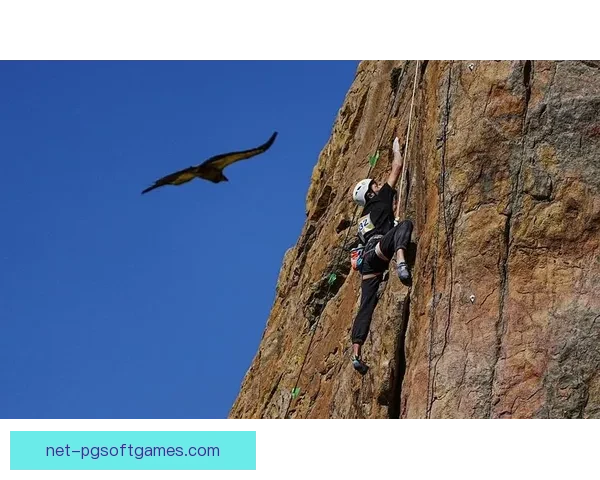 攀岩比赛实时战况精彩追踪