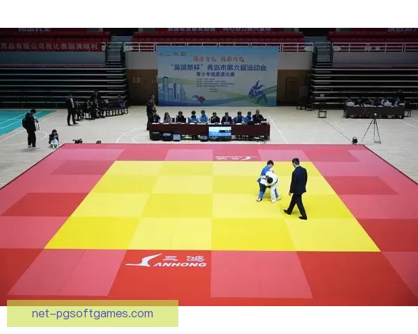 柔道赛事预测：成绩分析与胜负猜测