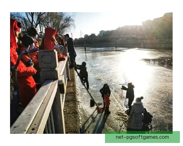 滑冰数据分析:揭秘冰场上的技术奥秘 滑冰数据分析:揭秘冰场上的技术奥秘