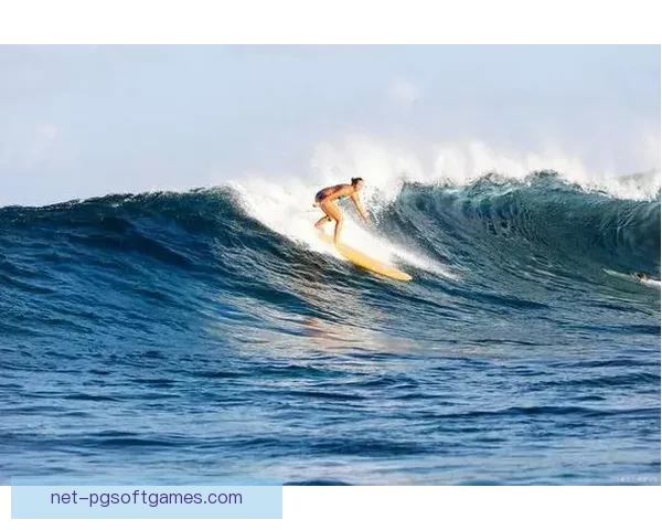 激情冲浪:挑战浪尖,共赏人生 激情冲浪:挑战浪尖,共赏人生