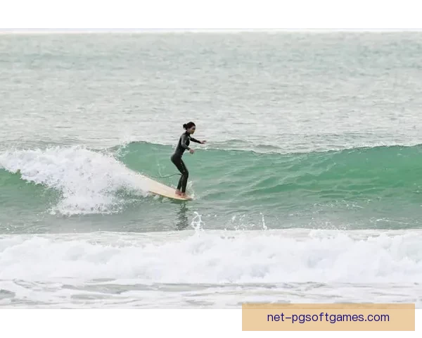 激情澎湃！掀起海浪狂潮，冲浪锦标赛绽放热浪