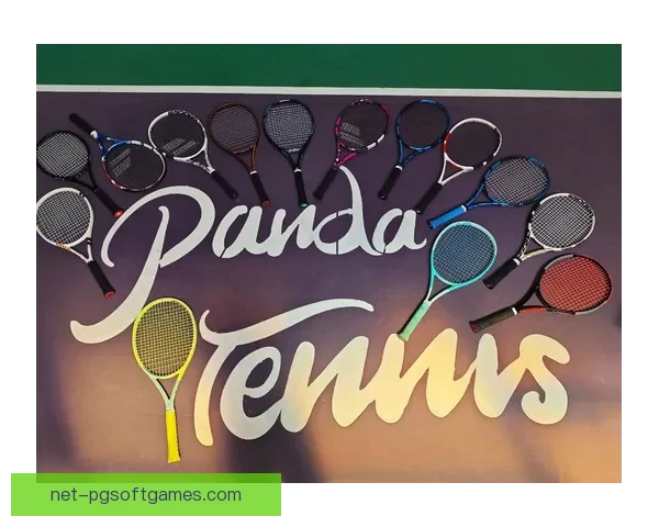 网球入门:基础技巧、规则和装备介绍 网球入门:基础技巧、规则和装备介绍