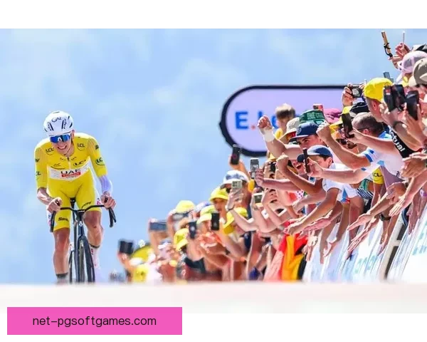 铁人三项世界纪录盘点：挑战极限的传奇巅峰